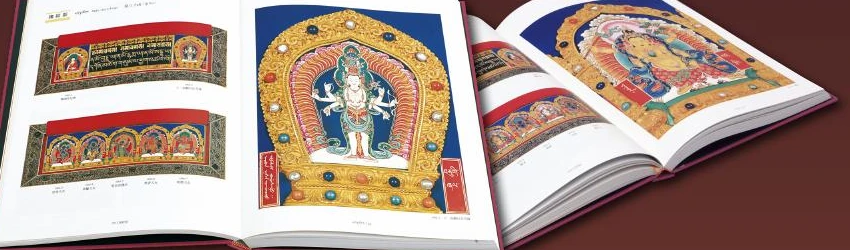 The illustration volumes